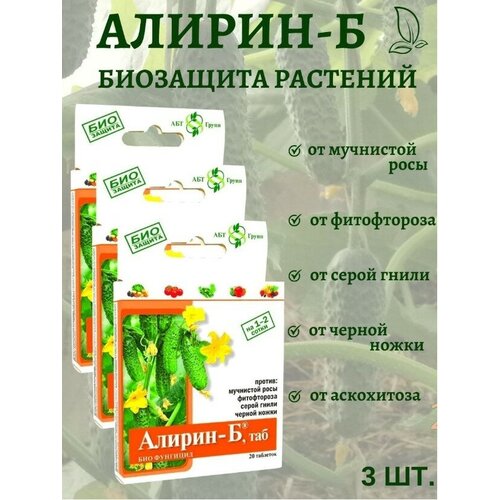 ���� ����������������� �������� ������ � �������� �� ������ ������ ����� ��������� ���� ����������� 20 �������� 3 �� ������ ������