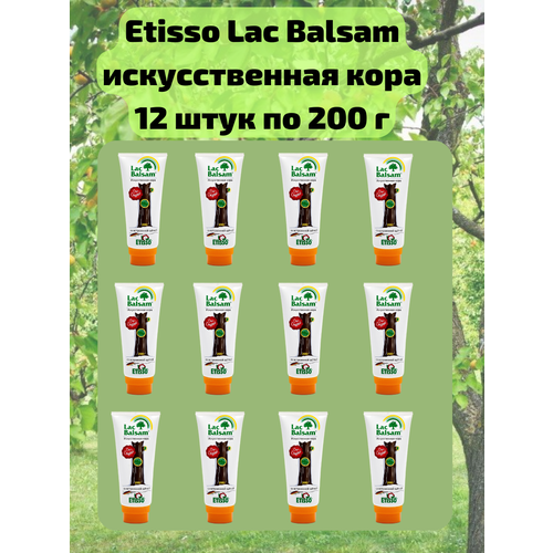   12 .         ,   , 200 Etisso / Lac Balsam   -     , -, 