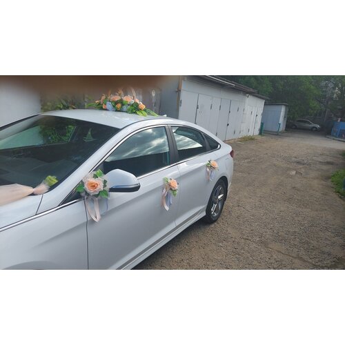 ���� ����� �� ����� � ������� (�� ������ 