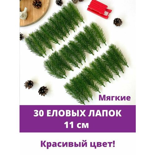 ���� ������ �����, ������ ����� �������������, ����� ������ 11 ��, 30 ���� ������ ������