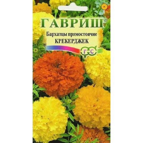 ���� ������ �������� ������������ ���������� 0,3� 70�� (������) ������ ������