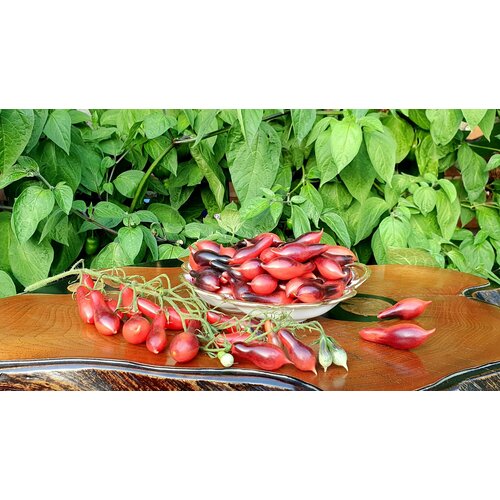 ���� ������ ������ ������� ������� ���� (Kumquat Pink Opal) / Seeds And Goods / � �������� zip-lock ��� ���������� 10 ����� ������ ������