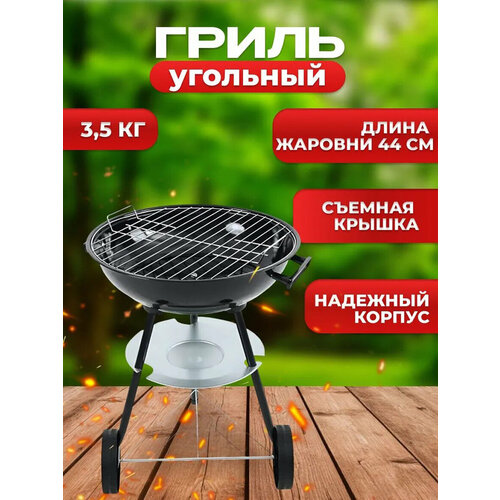 ���� ����� �������� ��� ���� � �������, ������� � �������, ������� ������� 44 �� ������ ������