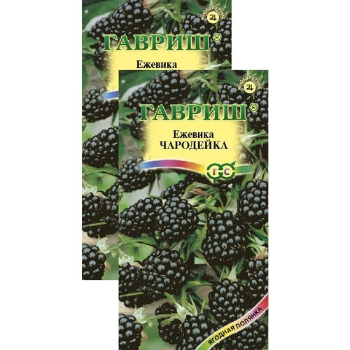 ���� ������� ��������� (10 �����), 2 ������ ������ ������