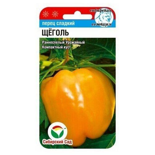 ���� ����� ������ ������ ������