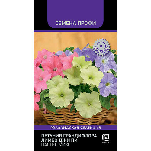 ���� ������� ����������� ����� ��� �� ������ ���� (������ �����) 10�� ������ ������