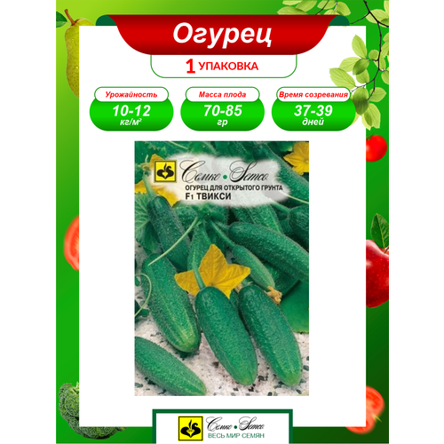 ���� ������ ������ ������ F1 ����������� 0,5 ��. ������ ������