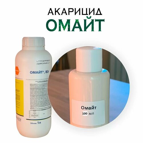 ���� ����� �� ������ 100�� (������ �������) ������ ������