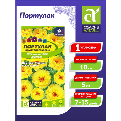 ���� ������ �������� ������������� ������ ���������� 0,1 ��. ������ ������