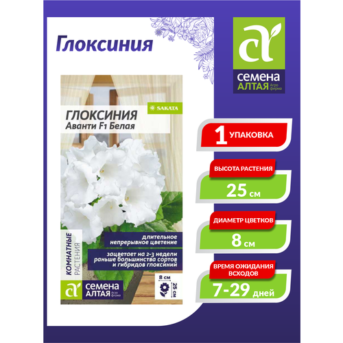 ���� ������ ��������� ������ ����� F1 8�� ��� 30�� (������ �����) ������ ������