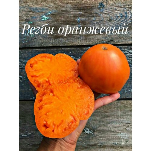 ���� ������������� ������ ������ ����� ��������� ������ ������