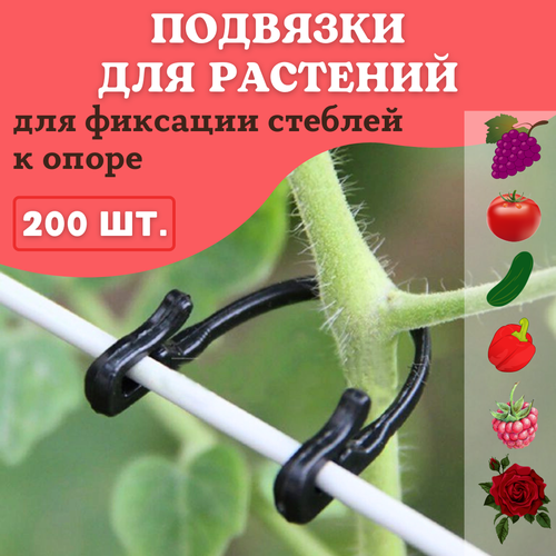 ���� ��������� �������� ������� ��� �������� �������� ���� 200 �� ������ ������