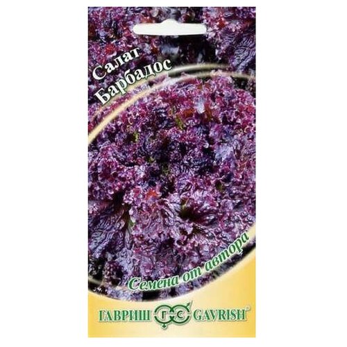 ���� ������ ������ ������ �� ������ ����� �������� �������� 1 � ������ ������