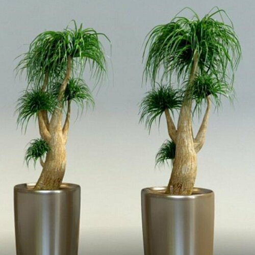 ���� ������, ��������, ���������� ������, ������ ������ ������