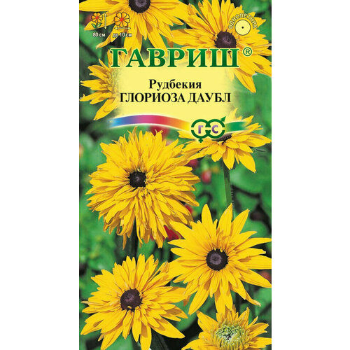 ���� ������ �������� �������� �����, 0,05�, ������, ��������� ���������, 10 �������� ������ ������