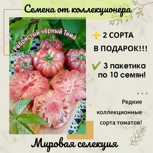 ���� ����� ��������� ������ ����, ������������ ��������, ������������� ���� ������ ������