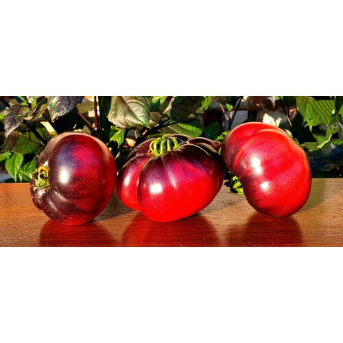 ���� ������ ������ ����� ���������� ����� (Siberian Tiger Claws) / Seeds And Goods / � �������� zip-lock ��� ���������� 10 ����� ������ ������