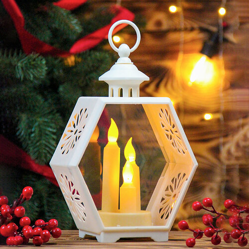 ���� ���������� ���������� ������������ 