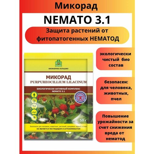   NEMATO 3.1    50    -     , -, 