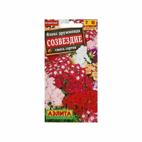 ���� ������. ����� ��������� 