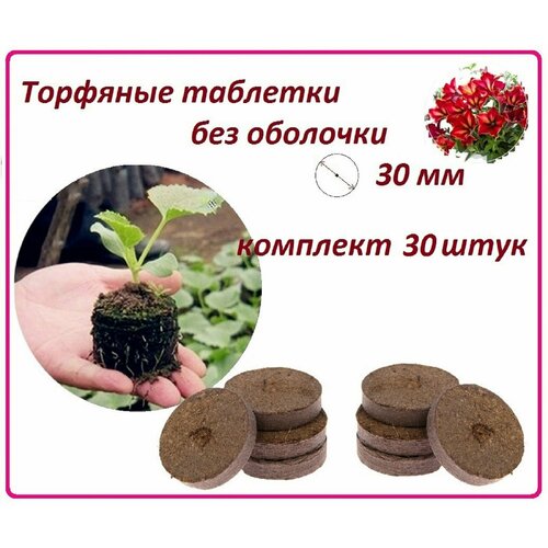 ���� �������� �������� ��� ������� ��� ��������, 30 ����, d 30 ��, ����� ��� ������������ ����� ����� ������, ������ � �������� ������ ������