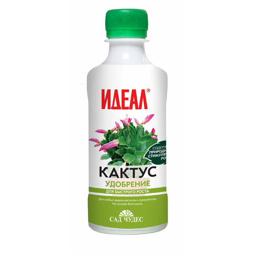 ���� ������ (0.25 �) ��������� ������ ������������ ����������� �������� ������ ������