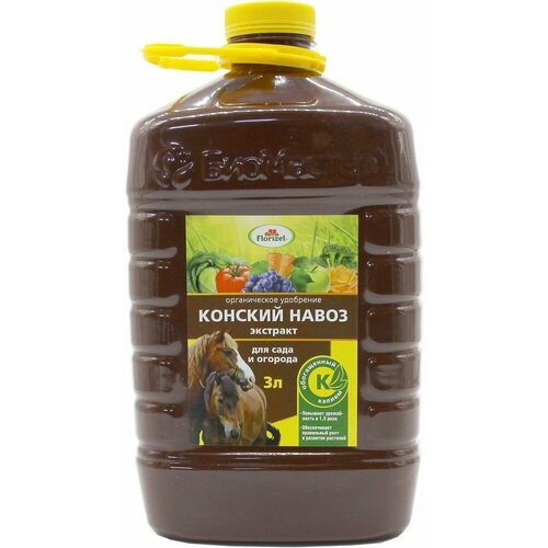 ���� ��������� ������������ ���������� ������� ����� ������������� 3 � ������ ������