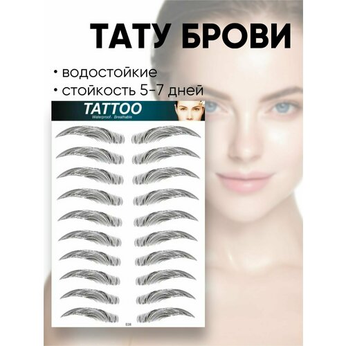 ���� ����� �������� ��� ������ ���� ���������, ���������� �����, ����� �8 ������ ������