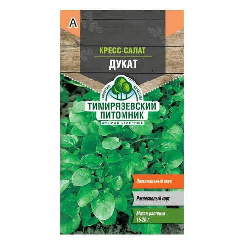 ���� �����-����� ����� 1 � ������ ������