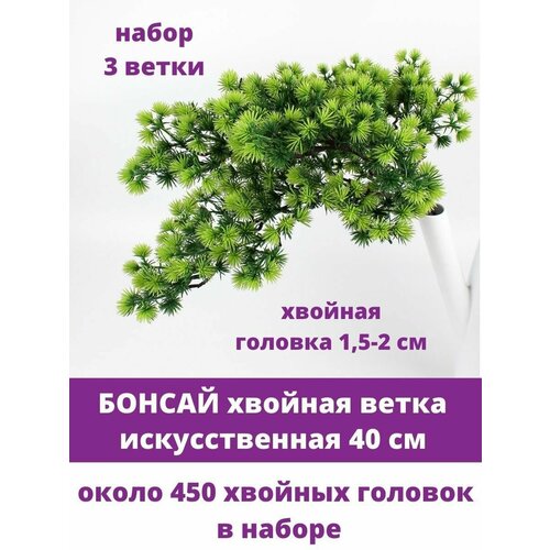 ���� ������, �������/������ ����� �������������, ����� ������, ��������������, ����� 3 �����, 32 �� ������ ������