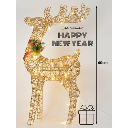 ���� ����� ���������� ��� ����, ������������ 60 �� ������ ������