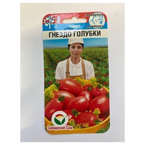 ���� ������ ����� ������ �������, 20 ��. ������ ������