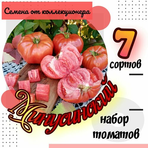 ���� ����� ����� ������� 