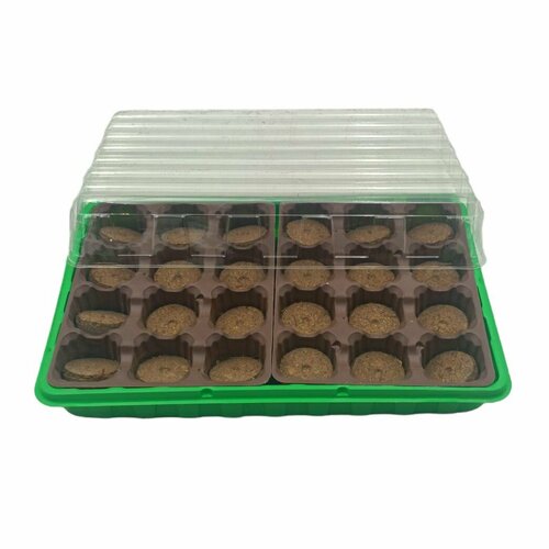 ���� ���� ������ ��� ������� ����, � ��������� ���������� 24 ��, � ������� � ��������, d 41 �� ������ ������