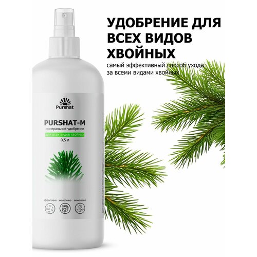 ���� ��������� ��� ������� � ������������ ������-� ����� 500 �� ������ ������