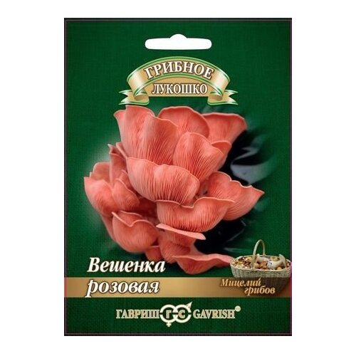 ���� ������� ������ ������ ������� ������� ������� ������� �� ��������� ������� 12 ��. ������ ������