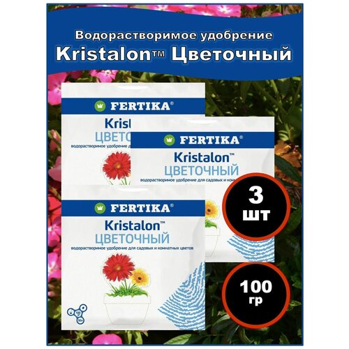 ���� ��������� �������, ���������, ���������, 100 ��. ��� ���, �������, �������, ������. ������� � ��������� ������ ����� 3 ��. ������ ������