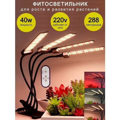           , Led      -     , -, 