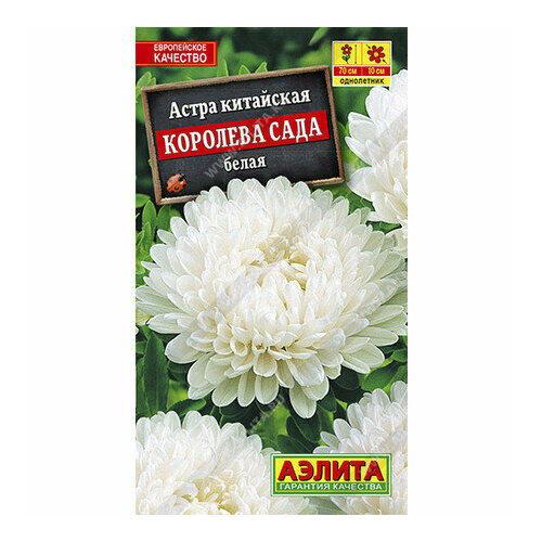 ���� ������ ����� �������� ���� ����� ����������� 0.2� ��� 70�� (������) ������ ������