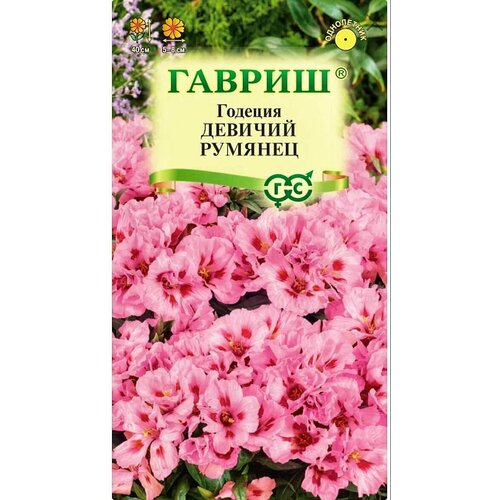 ���� ������� �������� ������� �������, 1 �����, ������ 0,05 ��, ������ ������ ������