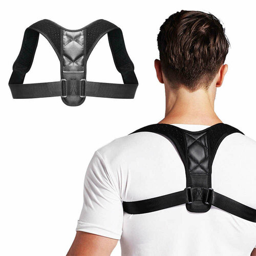    /     Posture Support NY-15 ,  ()  