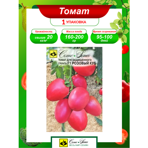 ���� ������ ����� ������� ��� F1 ����������� 5 ��./��. ������ ������