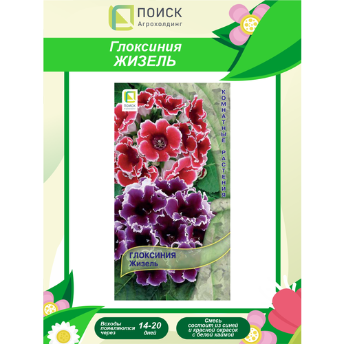 ���� ������ ��������� ������ ��������� 5 ��. ������ ������