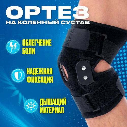 ���� ������ �� �������� ������, ������ �����, ����� �� �������� ������ ��������� ������ ������