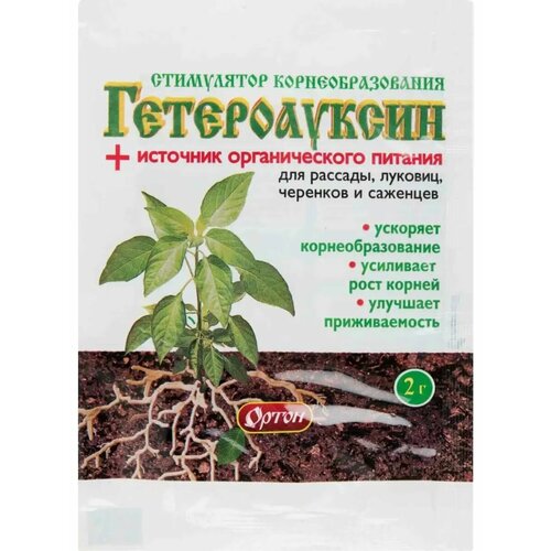 ���� ������������ ���������� ���������������� 2� ������ ������