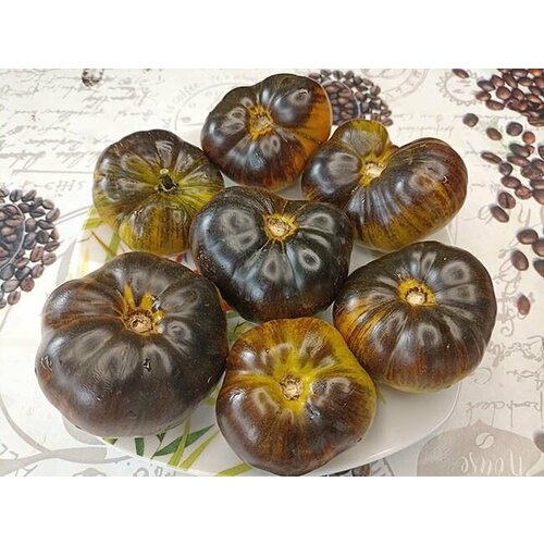 ���� ������������� ������ ������ ���� ������� ������ ������