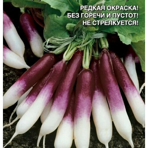 ���� ������������� ������ ������ �������� ������ ������ ������