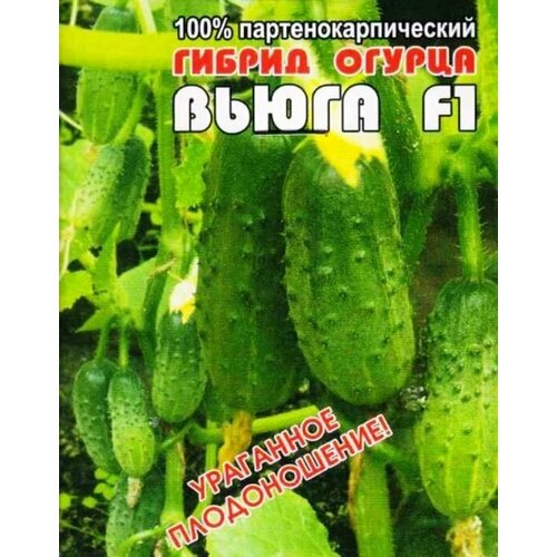 ���� ������������� ������ ������ ����� F1 ������ ������