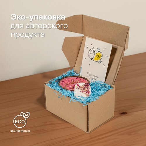 ���� ����������� ������� ��� ������� � ������� BOXY ���� XS, �����������, ����: �����, 16,5�12�10 ��, � �������� 10 �� ������ ������