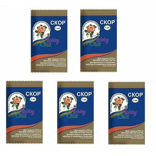 ���� ������� ������ �������� �������� �� �������� �������� ���� 1 ��, 5 �� ������ ������